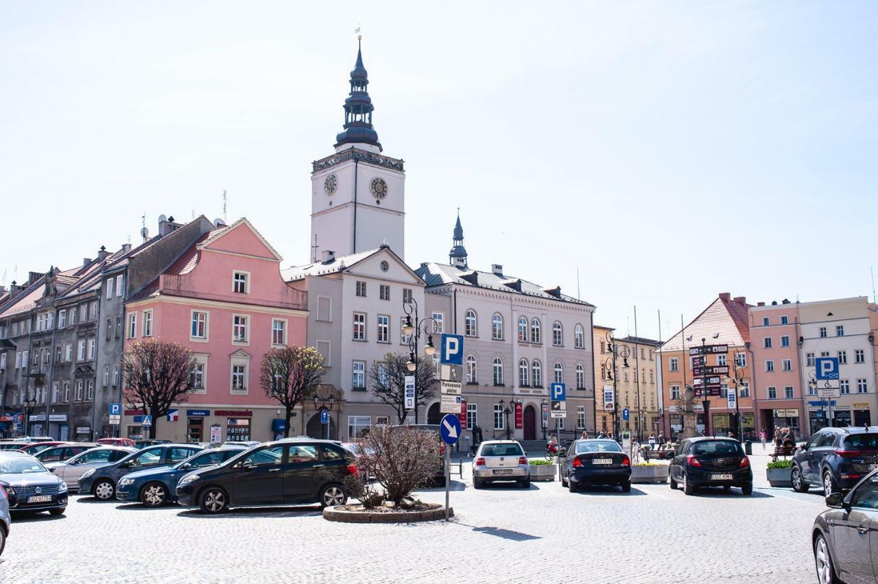 Super Komfortowe Mieszkanie - Mtb Narty Gory Sowie Dzierżoniów エクステリア 写真
